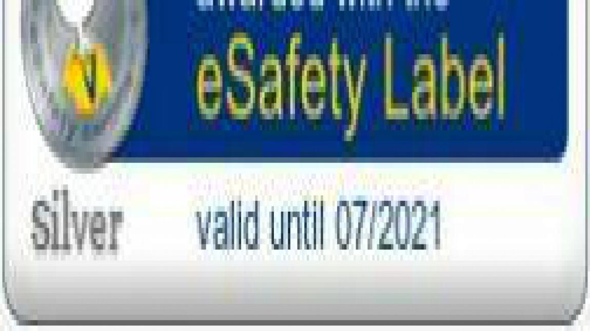 e Safety Label Silver